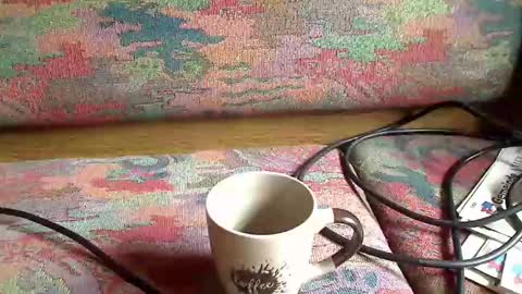 trobelle online show from May 31, 3:47 pm