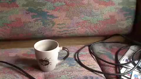 trobelle online show from May 31, 4:53 pm