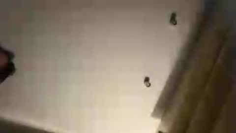 ttess0742 online show from August 21, 6:58 pm