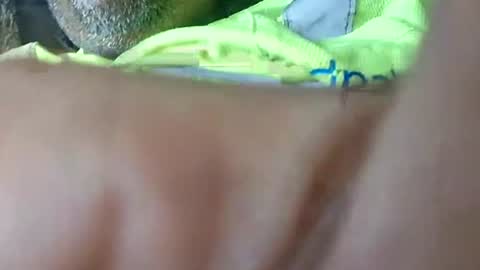twest84 online show from June 25, 4:10 pm