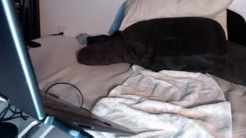 ThickCurvedCock online show from August 2, 7:26 am