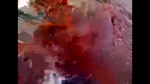 tylerweist727678265 online show from April 20, 2:21 am