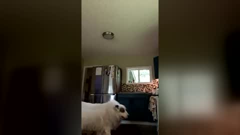 unclej906903484 online show from August 12, 2:41 pm