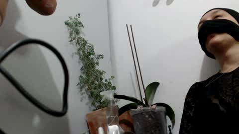 couple secret online show from July 23, 3:09 am