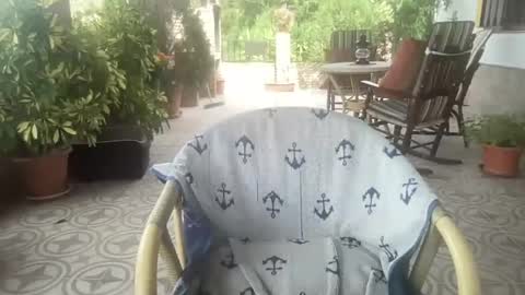 Oak Cock online show from June 22, 9:54 am