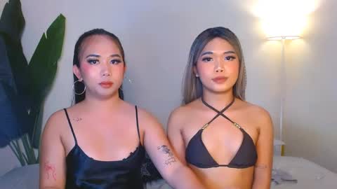 Urwildest farrah online show from May 11, 3:03 pm