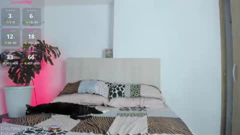    online show from August 10, 2:02 am