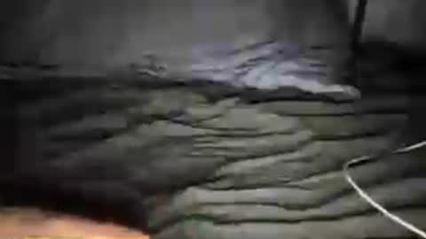 urztrulyy_ online show from July 16, 4:13 am