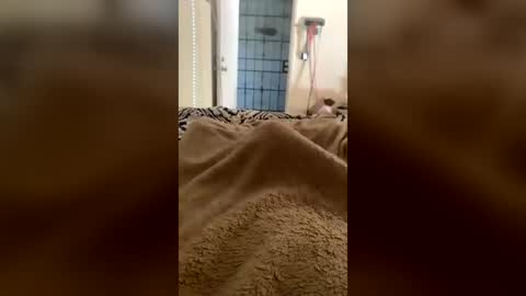 useranon334457 online show from July 20, 3:26 pm