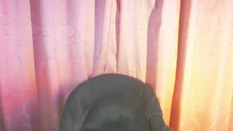 valentina__rosee online show from August 12, 2:25 am