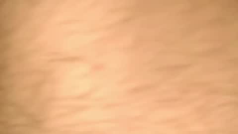 vandik669 online show from May 5, 12:18 pm