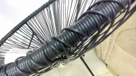 vanessa_wild2 online show from August 10, 3:13 pm