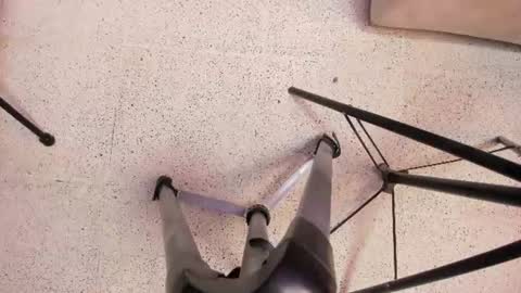vanessa_wild2 online show from August 11, 4:09 pm