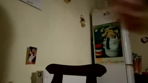 Vasi Sexyi online show from July 28, 11:33 pm