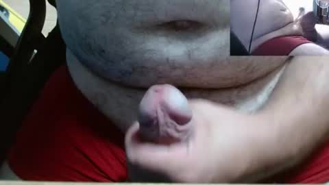 vegeta_ssj online show from June 25, 2:31 pm