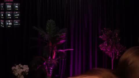 Kitty online show from August 11, 2:46 am