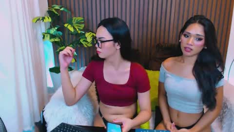 Velvet online show from August 13, 11:02 am