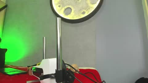 venuss_03 online show from August 9, 1:56 pm