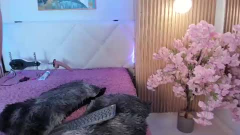 veronica_hill_ online show from August 11, 3:08 am