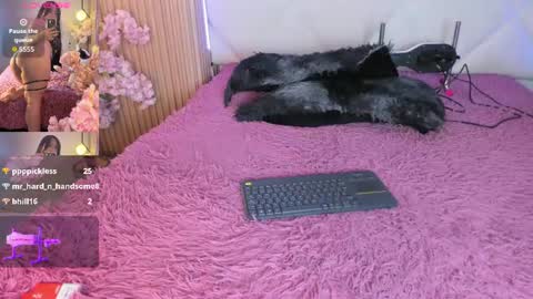 veronica_hill_ online show from August 14, 8:51 am