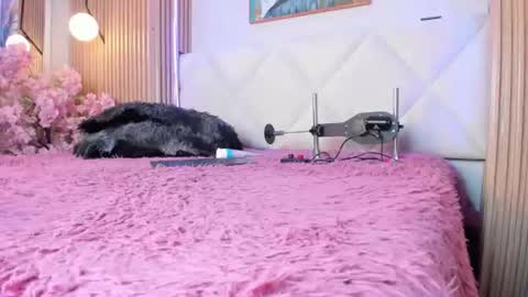 veronica_hill_ online show from August 18, 4:18 am