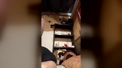 versa920302 online show from August 9, 10:27 am