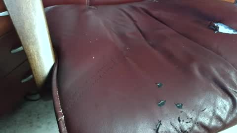 Erik online show from August 11, 4:31 pm