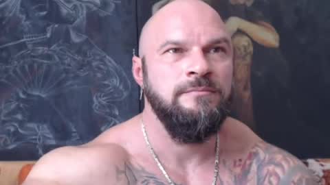 viking online show from July 24, 11:46 am