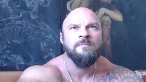 viking online show from July 26, 8:41 am
