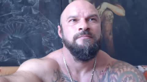 viking online show from August 1, 10:43 am