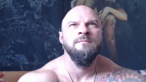 viking online show from August 8, 8:36 am