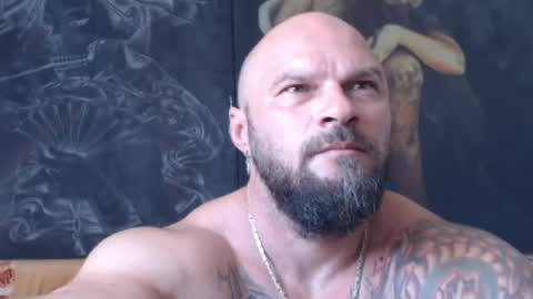 viking online show from August 12, 10:17 am