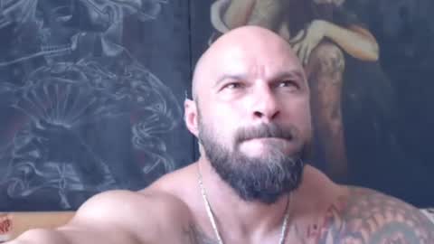 viking online show from August 12, 11:23 am
