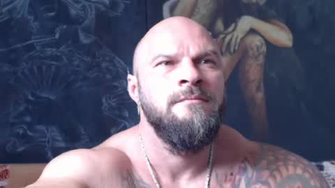 viking online show from August 14, 7:56 am