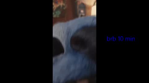 vinkitinkii online show from July 17, 6:24 am