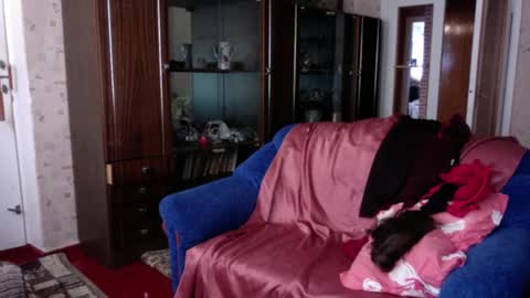 Daddy WillyVioletta online show from April 3, 12:02 pm