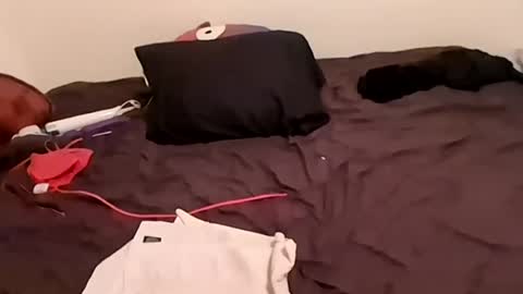 Violet Kitty online show from July 16, 6:36 am