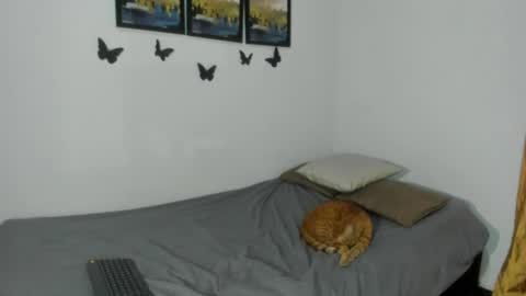 vlad__night online show from August 10, 10:33 pm