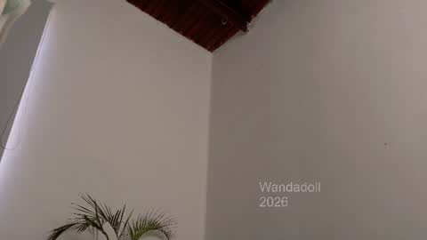 wandadoll online show from August 10, 2:40 pm