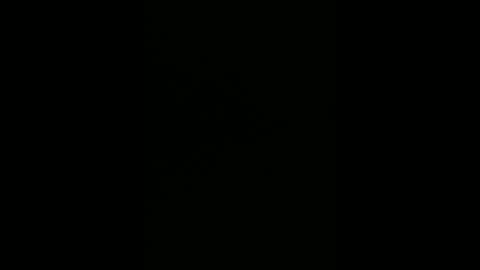 warp147 online show from April 11, 2:44 am