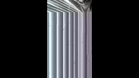 wetone308084 online show from May 1, 2:54 pm