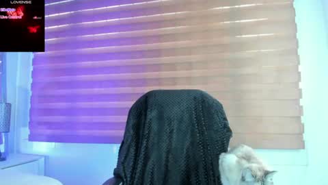 Morgan online show from August 13, 11:13 am