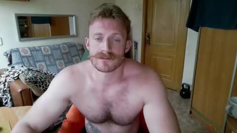 WhiteBull online show from June 27, 2:20 pm