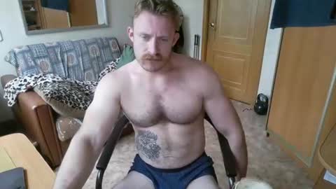 WhiteBull online show from August 8, 10:48 am