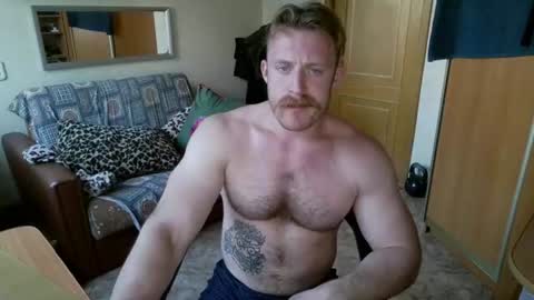 WhiteBull online show from August 8, 4:40 pm