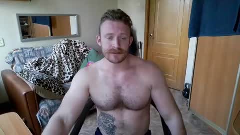 WhiteBull online show from August 15, 1:59 pm