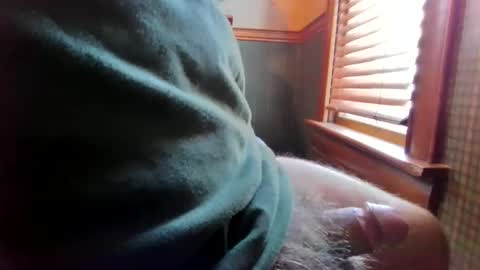 whydog online show from April 7, 2:22 pm