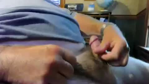 whydog online show from June 13, 8:28 pm