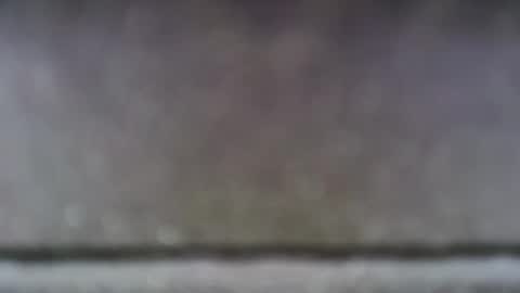 wildarabass online show from March 15, 3:06 pm