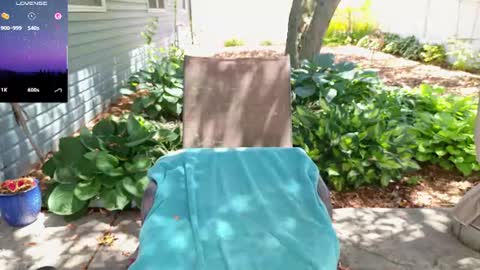 Ivy online show from June 22, 5:24 pm